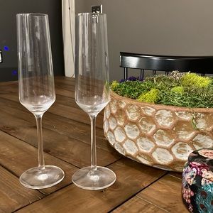 Schott Zwiesel Tour Champagne Glass 8 oz.